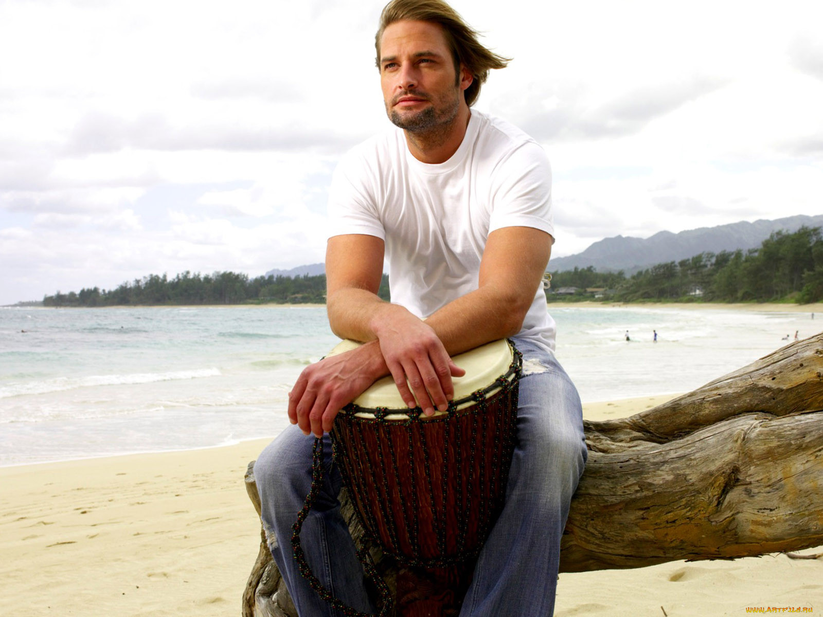 , josh, holloway